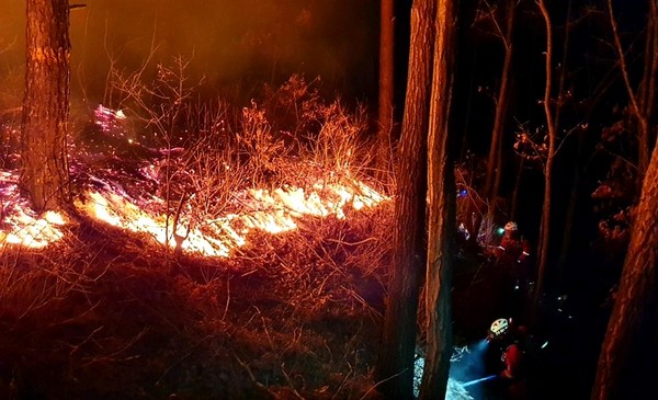 어제(20일) 오후 강원도 정선군 여량면 구절리 노추산에서 산불이 발생해 오늘 오전 4시 30분 현재 산림 6만 5천 ㎡를 태웠다. 소방 당국은 날이 밝는대로 헬기를 투입해 진화에 나선다.