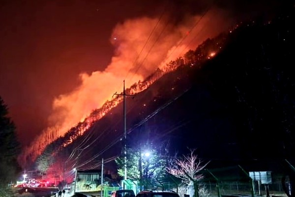 어제(20일) 오후 강원도 정선군 여량면 구절리 노추산에서 산불이 발생해 오늘 오전 4시 30분 현재 산림 6만 5천 ㎡를 태웠다. 소방 당국은 날이 밝는대로 헬기를 투입해 진화에 나선다.