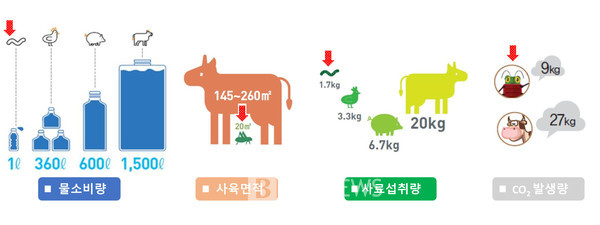 단백질 1kg을 얻기 위해 곤충은 소, 돼지 대비 물사용량은 1,500분의 1, 사료 섭취량은 10분의 1, 온실가스 배출량은 2,850분의 1이 필요하다. 경북도 제공