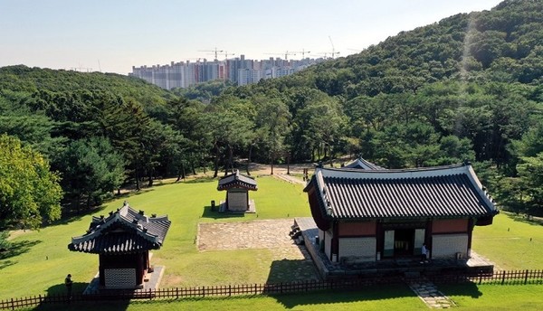 세계문화유산 김포 장릉의 경관에 들어선 아파트 단지.