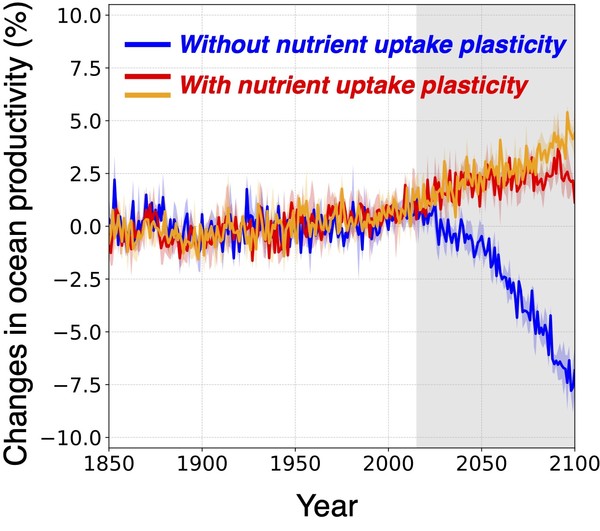 시간에 따른 전 지구 해양 순생산량 변화.(자료=IBS 제공)