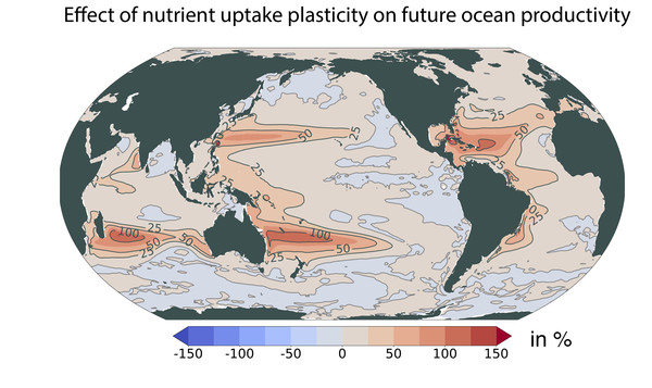 식물 플랑크톤의 영양 흡수 조절 능력이 미래 해양 순생산량에 미치는 영향.(자료=IBS 제공)