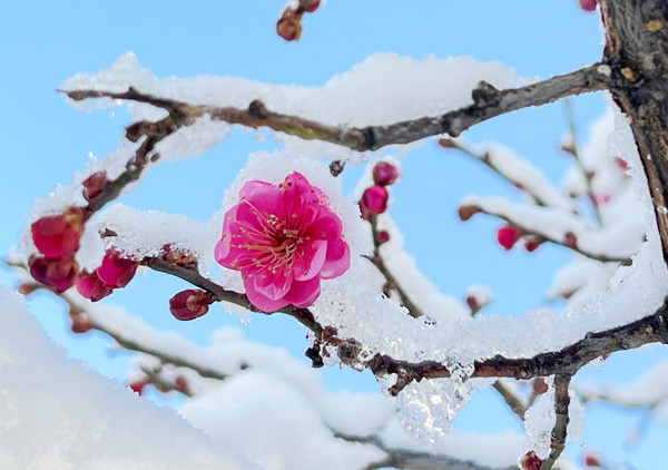 절기상 우수(雨水 2/19) 하루 앞두고...