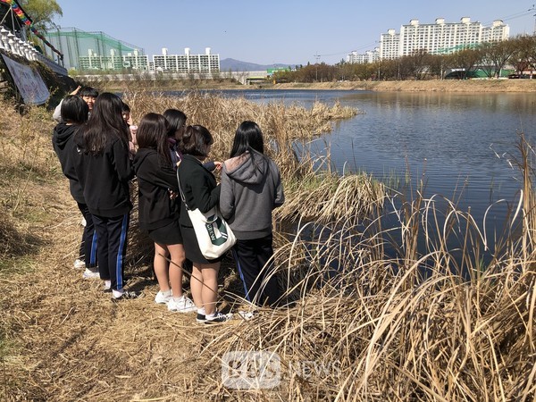 재미있는 두꺼비 사진