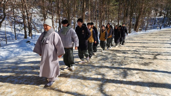 도선사 전법단이 마련한 서울과학기술대학교 불교동아리 월정사 템플스테이에 참가한 회원들이 전나무 숲길에서 걷기 명상을 하고 있다.