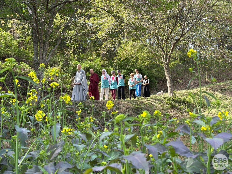 숲길을 걷고 포행하고 있는 혜원스님과 유럽인 템플스테이 참가자들.