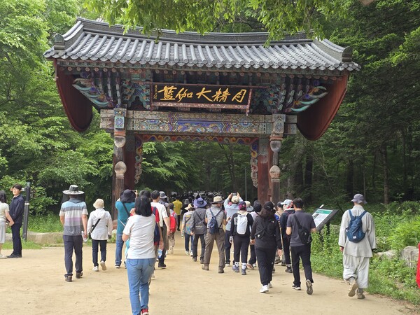 오대산 월정사, 탄소중립 녹색전환 기후위기 극복 천년숲 걷기 / 사진=BBS 최승한 기자