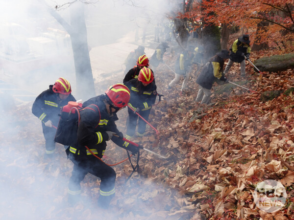 국립공원공단 팔공산국립공원동부사무소는 11월 25일, 팔공산 수태골 일원에서 가을철 건조 기후로 인한 대형 산불 위험에 대응하기 위해 유관기관 합동 산불 진화훈련을 실시했다. 팔공산국립공원 동부사무소 제공