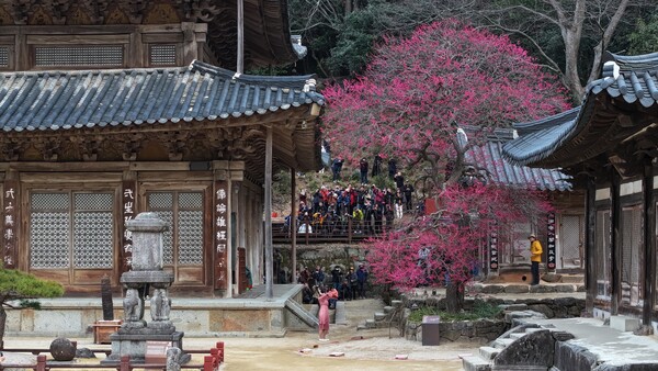 ȭ���� ��Ȳ�� �� ȫ��ȭ�� ������ ��� �湮������ �Կ��ϰ� �ִ�. ����=���뼮 ����