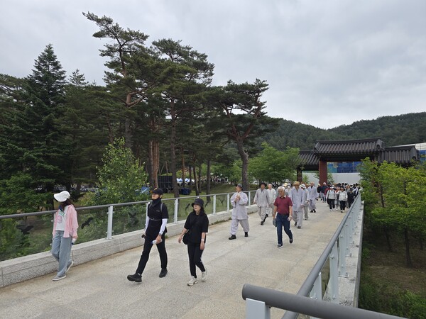 제21회 오대산 천년숲 선재길 걷기…자연 속에서 찾은 쉼과 치유