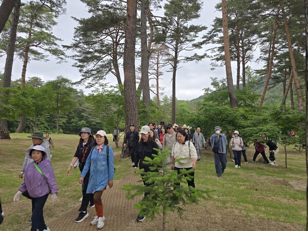 제21회 오대산 천년숲 선재길 걷기…자연 속에서 찾은 쉼과 치유