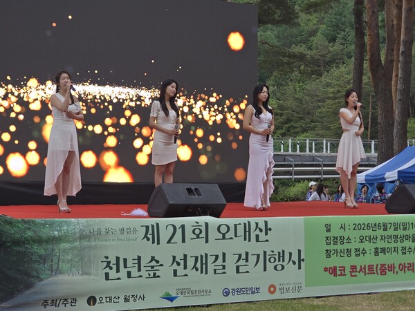 제21회 오대산 천년숲 선재길 걷기…자연 속에서 찾은 쉼과 치유