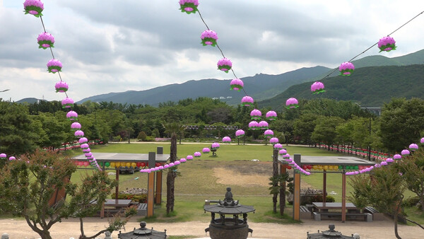 &nbsp; 홍법사 보라색 연등