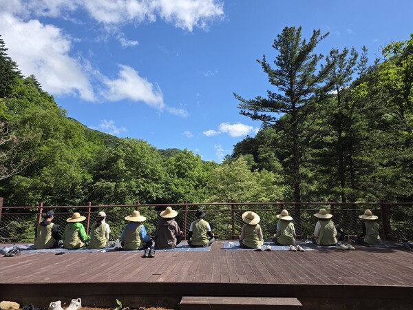 오대산 순례명상 성료…'한국의 산티아고' 가능성 확인 / 사진=월정사