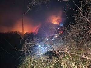 경주 야간산불 진화 관련 보도 이미지